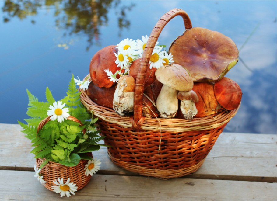 Корзина с грибами