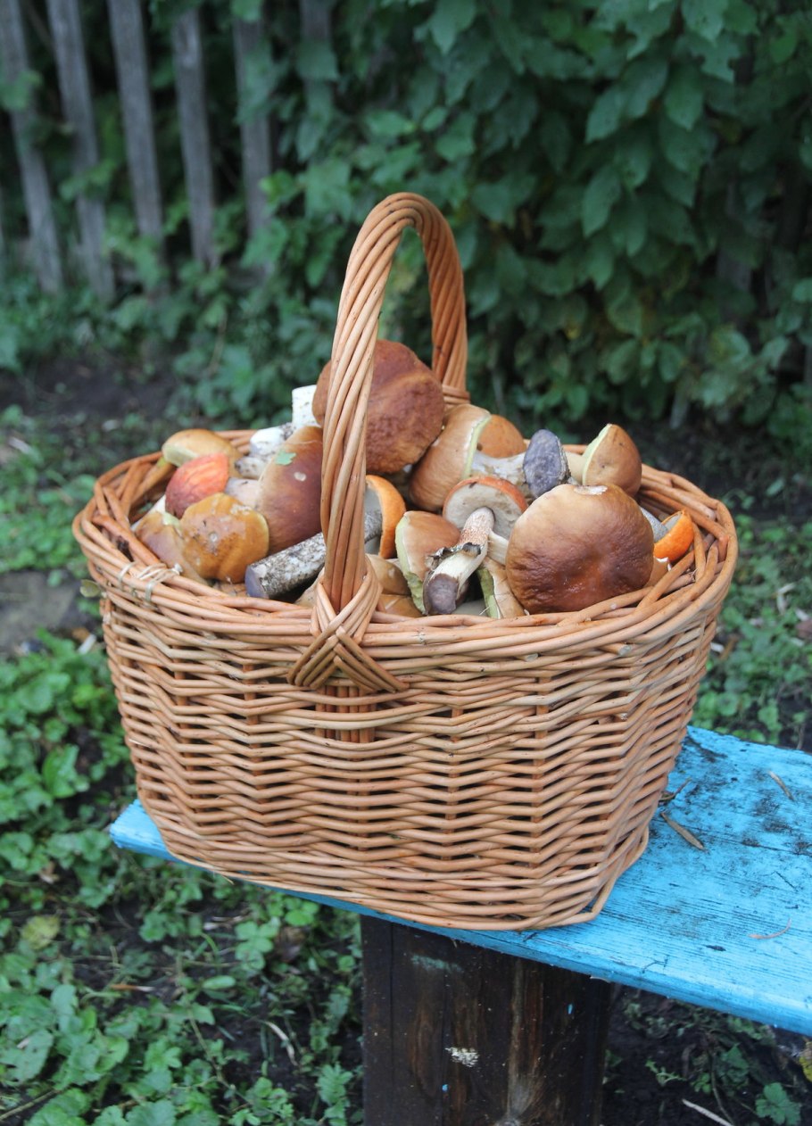 Корзина для грибов