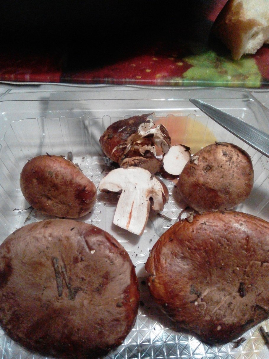 Гриб горчак Крымский