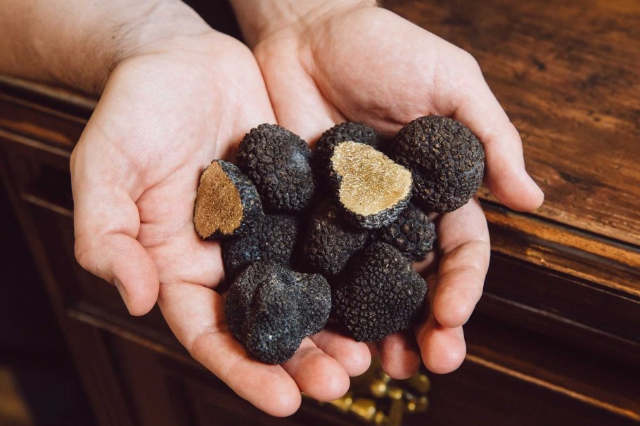 Черный перигорский трюфель
