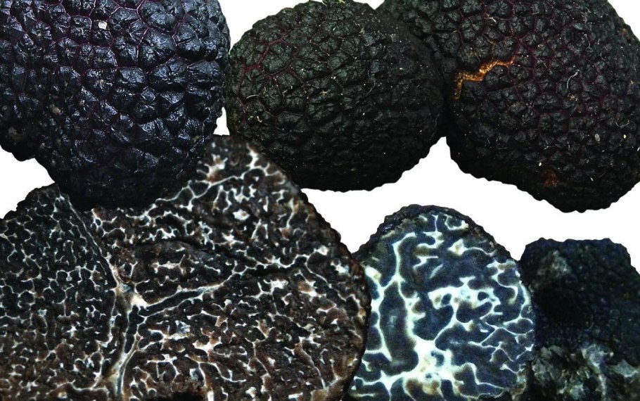 Перигорский трюфель