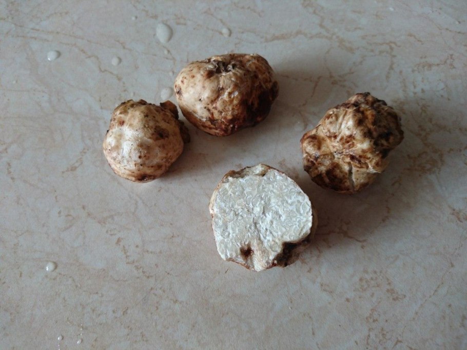 Французский перигорский трюфель