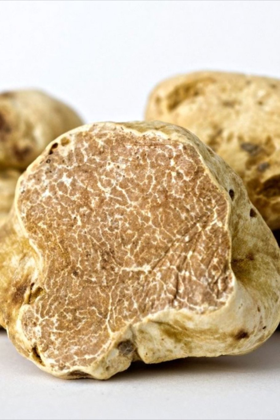 Трюфель летний русский черный трюфель