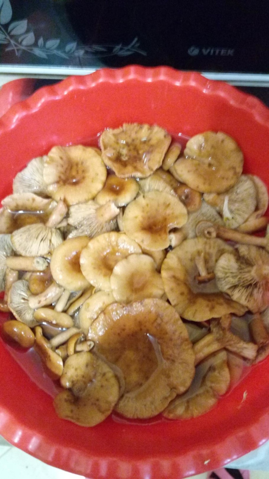 Волнушки способы приготовления