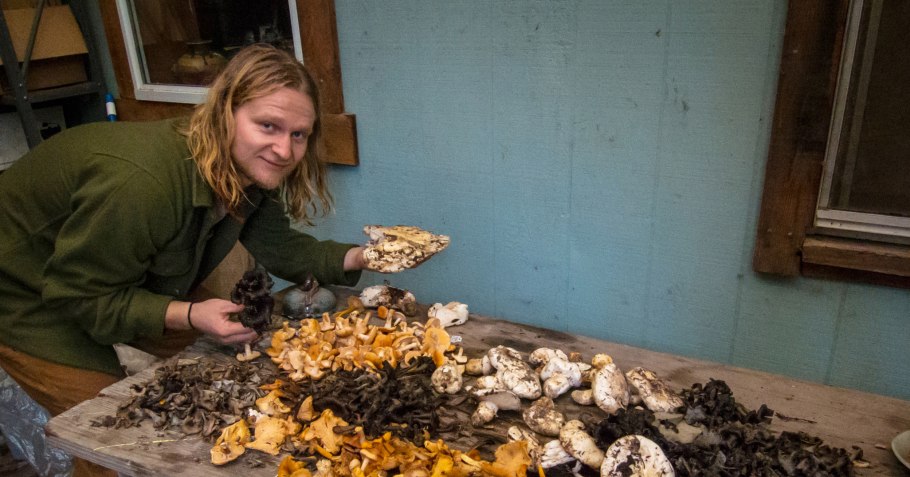 Приготовление грибов ПЕСОЧНИКОВ