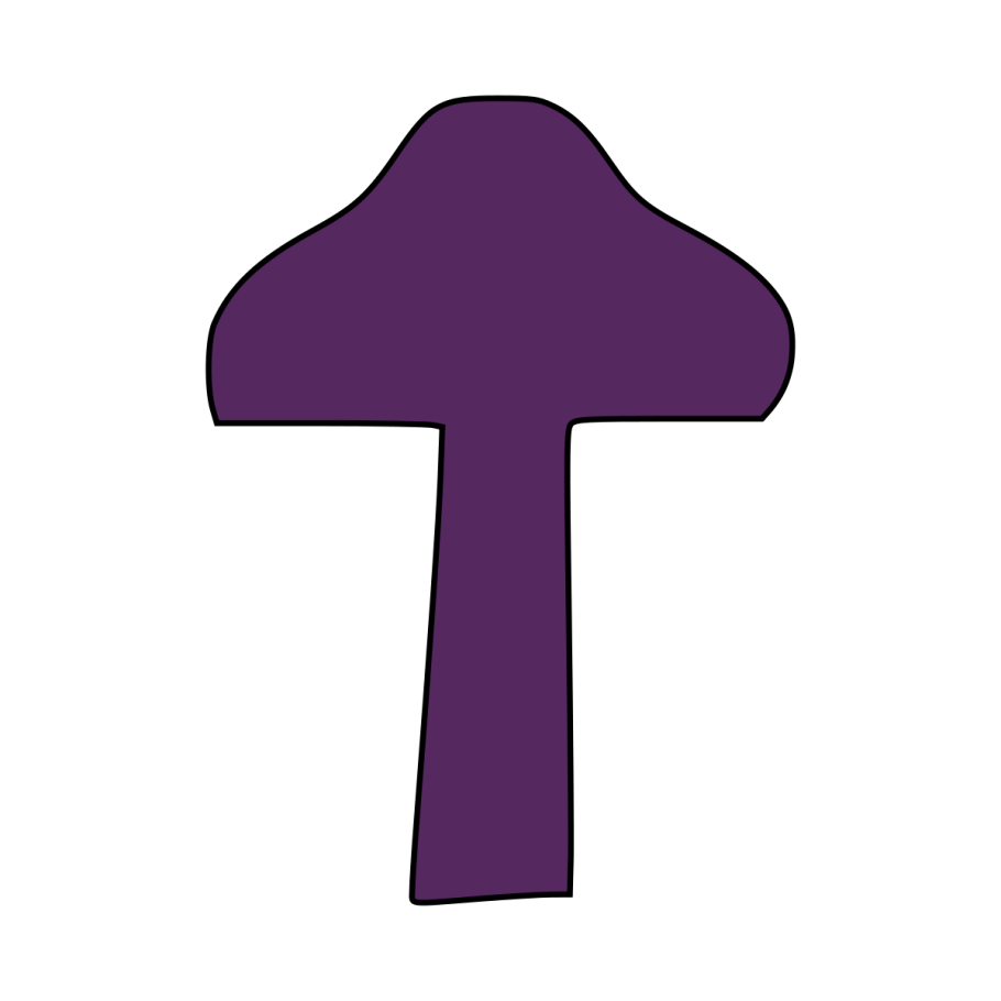 Шапочка гриб мухомор с2004