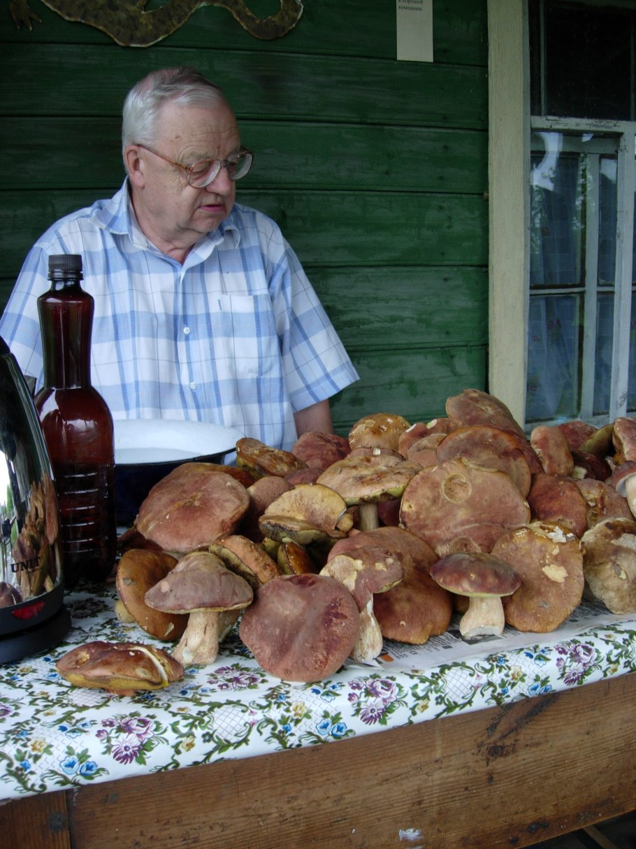 Грибы Липовки Приморский край