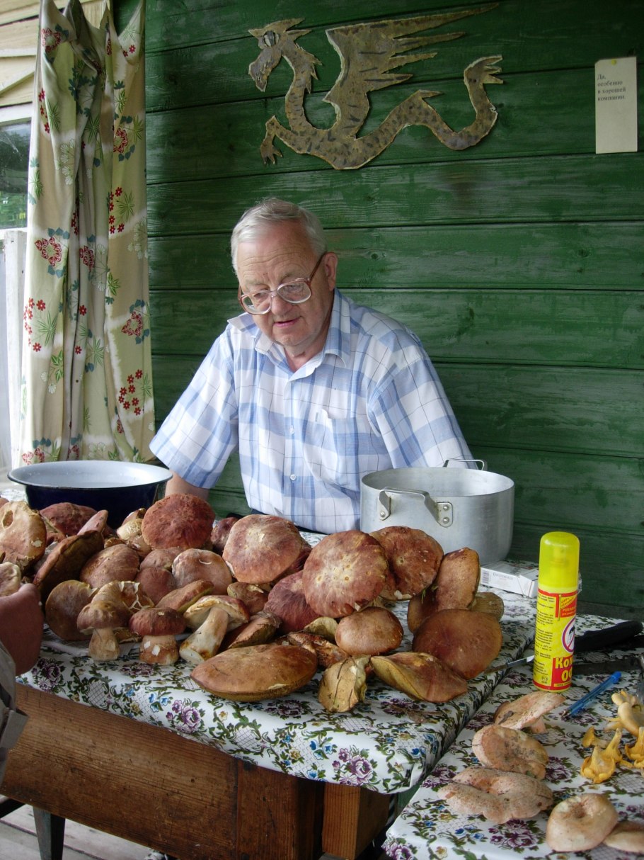 Гриб Липовик Приморский край