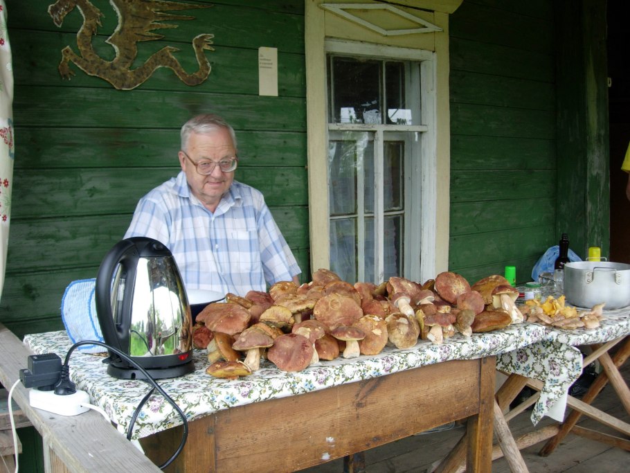 Липовки грибы