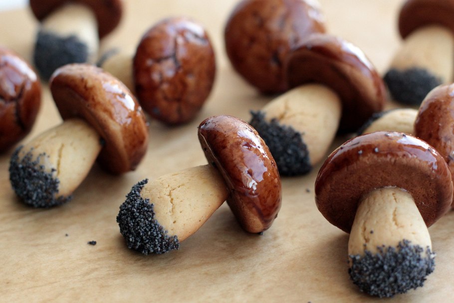 Шляпка гриба