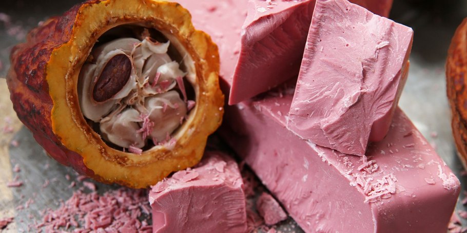 Моховик красный Xerocomus rubellus