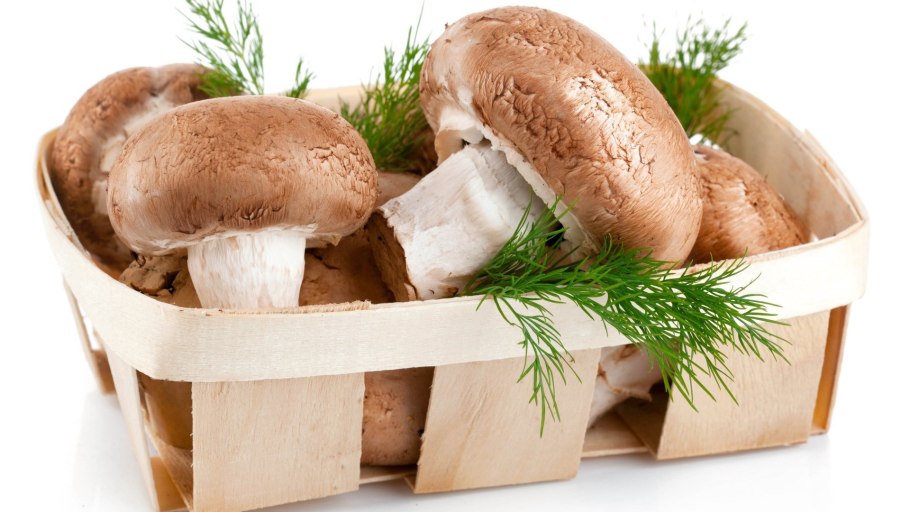 Грибы на белом фоне