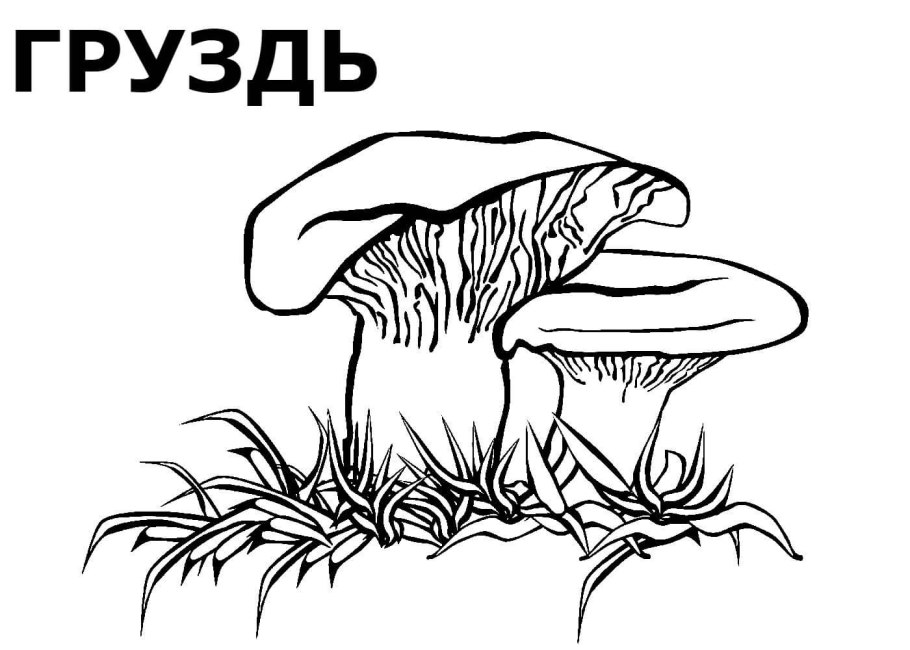 Черненькие грибы
