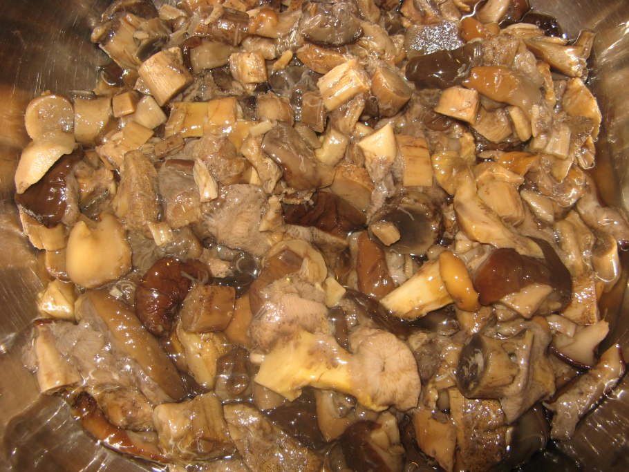 Грузди подтопольники