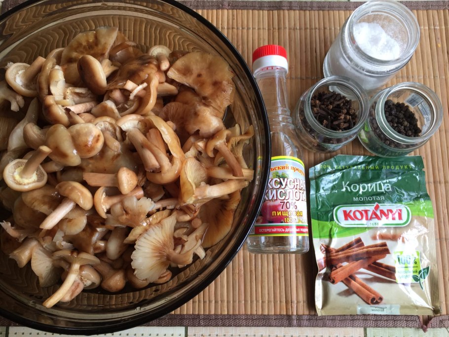 Ингредиенты опята