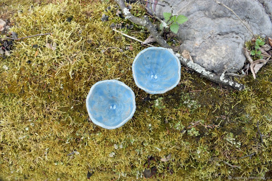 Млечник голубой гриб