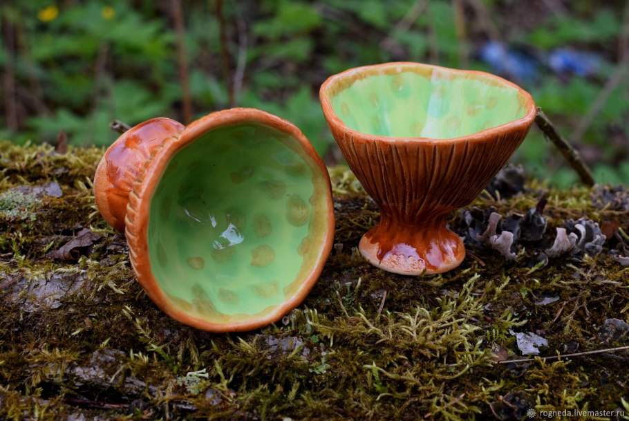 Синюшка гриб