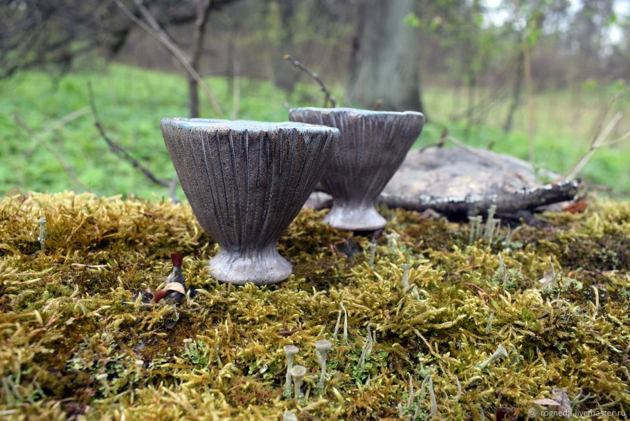 Фантастические грибы fantastic fungi 2020