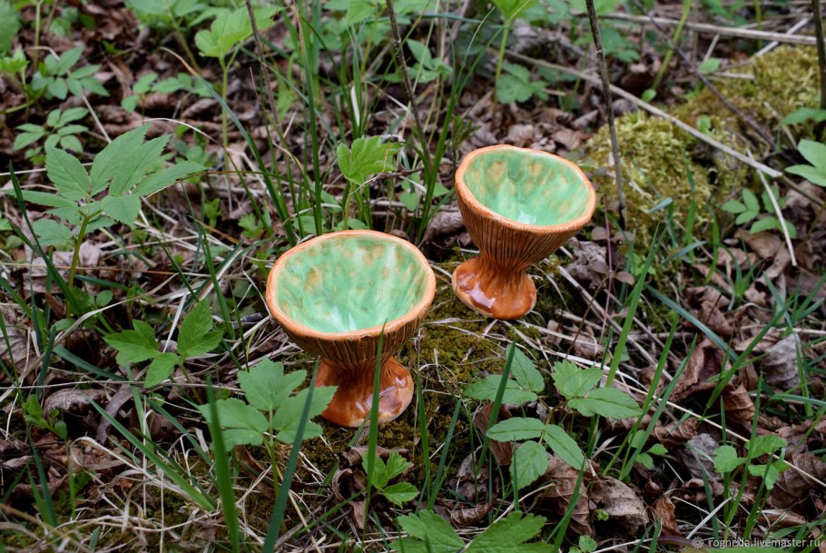 Млечник индиго