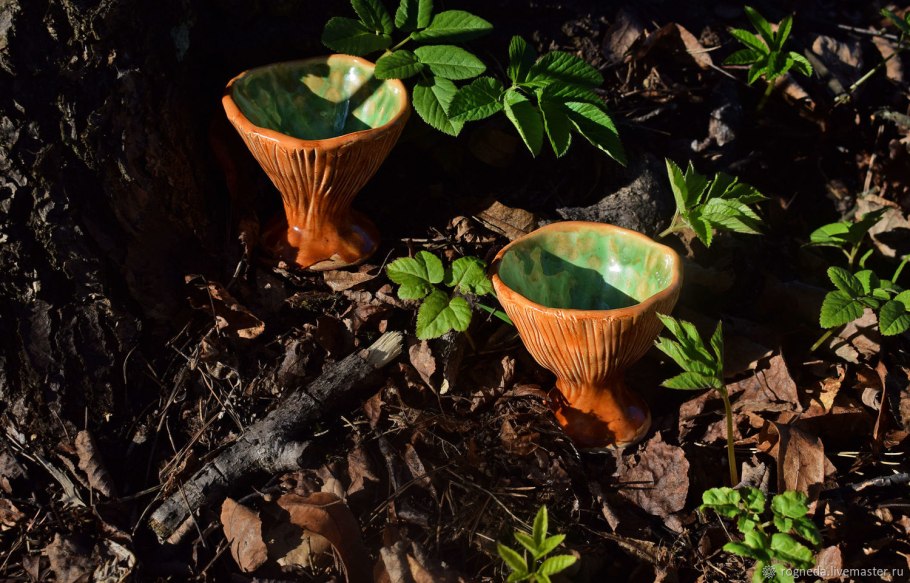 Грибы рядовки