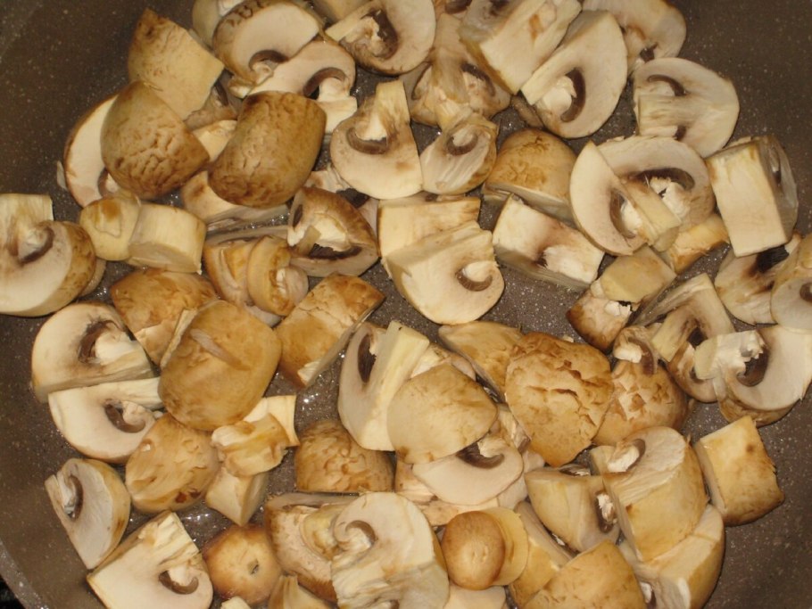 Гриб Аурикулярия уховидная