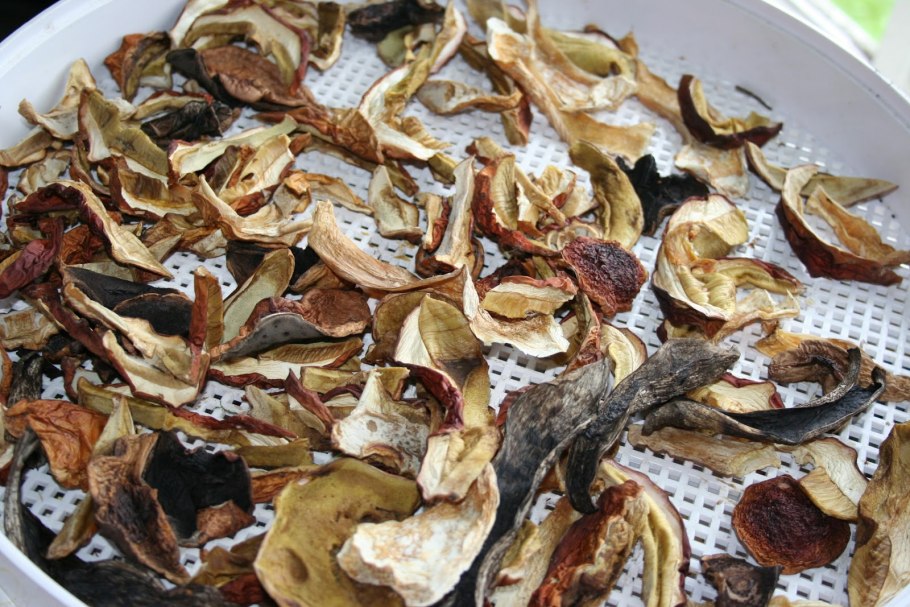 Белые грибы сушеные