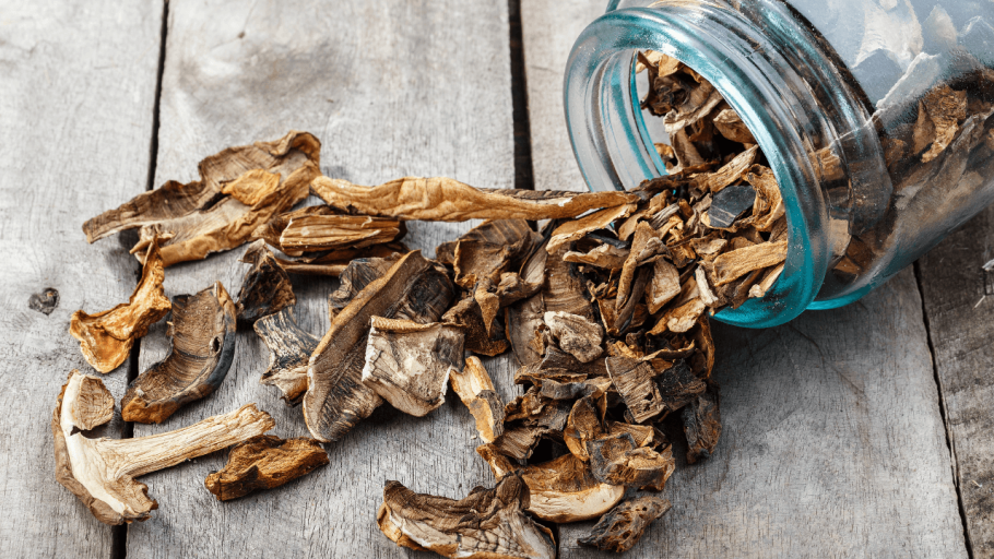 Высушенные грибы