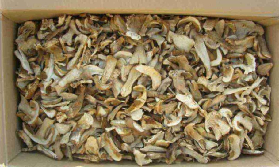 Шампиньоны сушеные