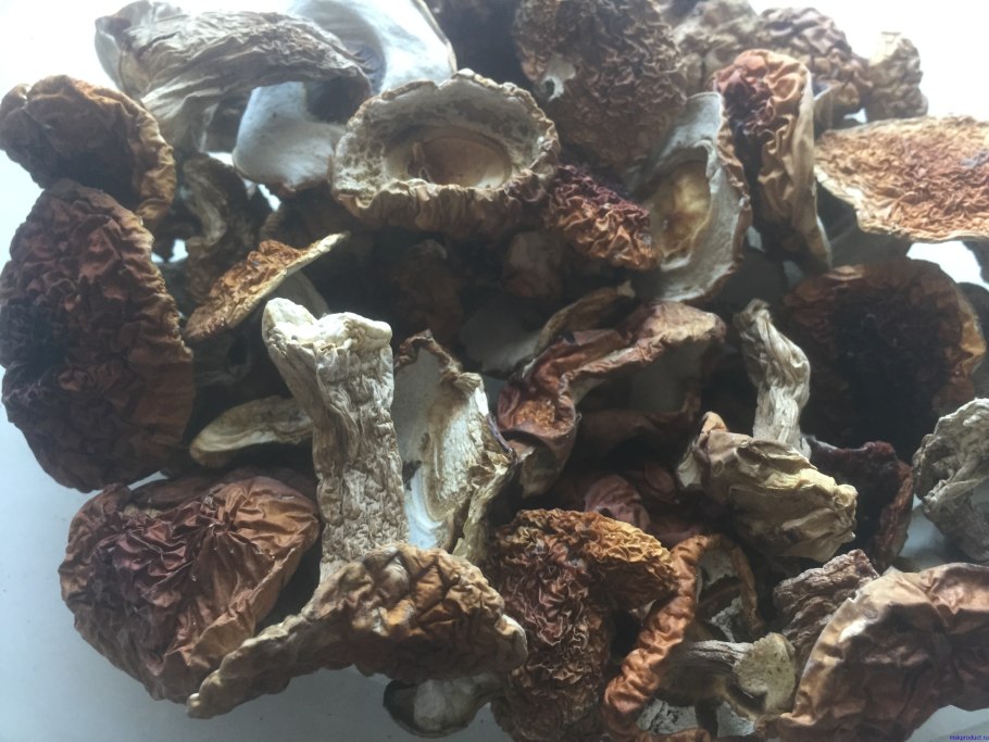 Сухие грибы