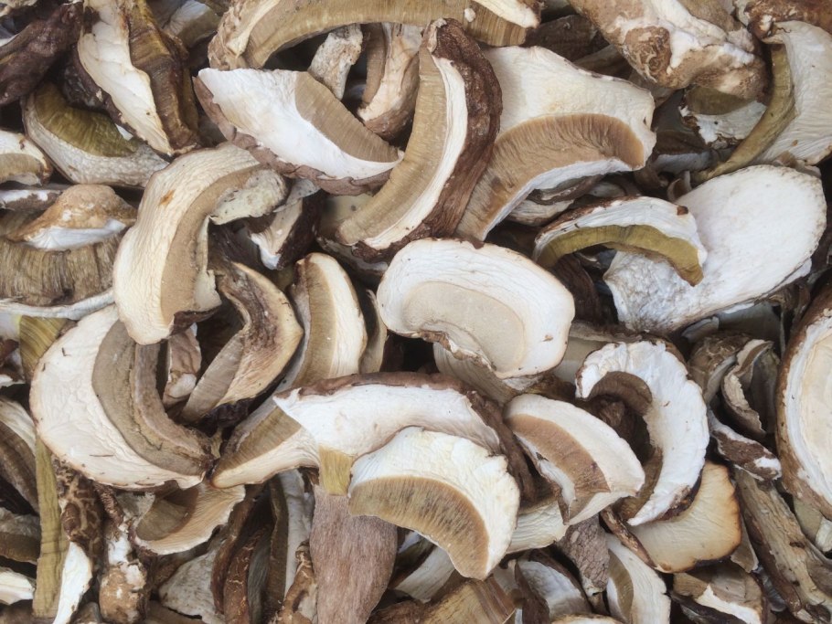 Белые грибы сушеные