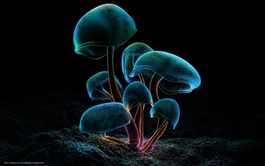 Голубой гриб Entoloma hochstetteri