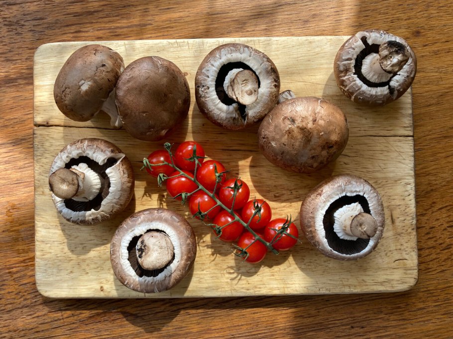 Шампиньон Эссета (Agaricus essettei)