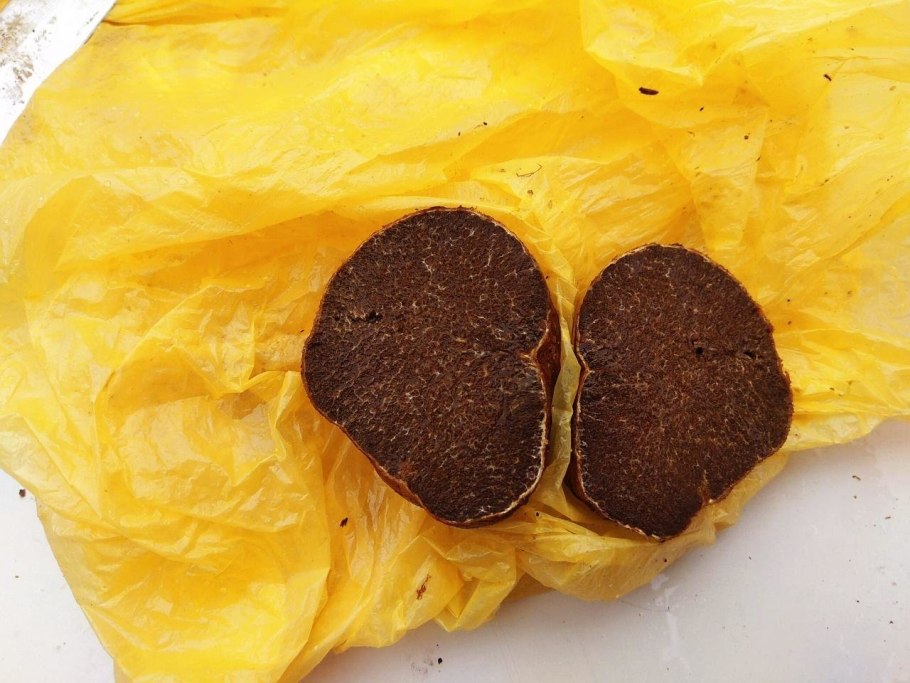 Съедобные грибы