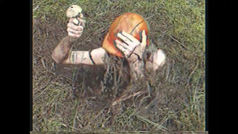 Вешенки рядовки