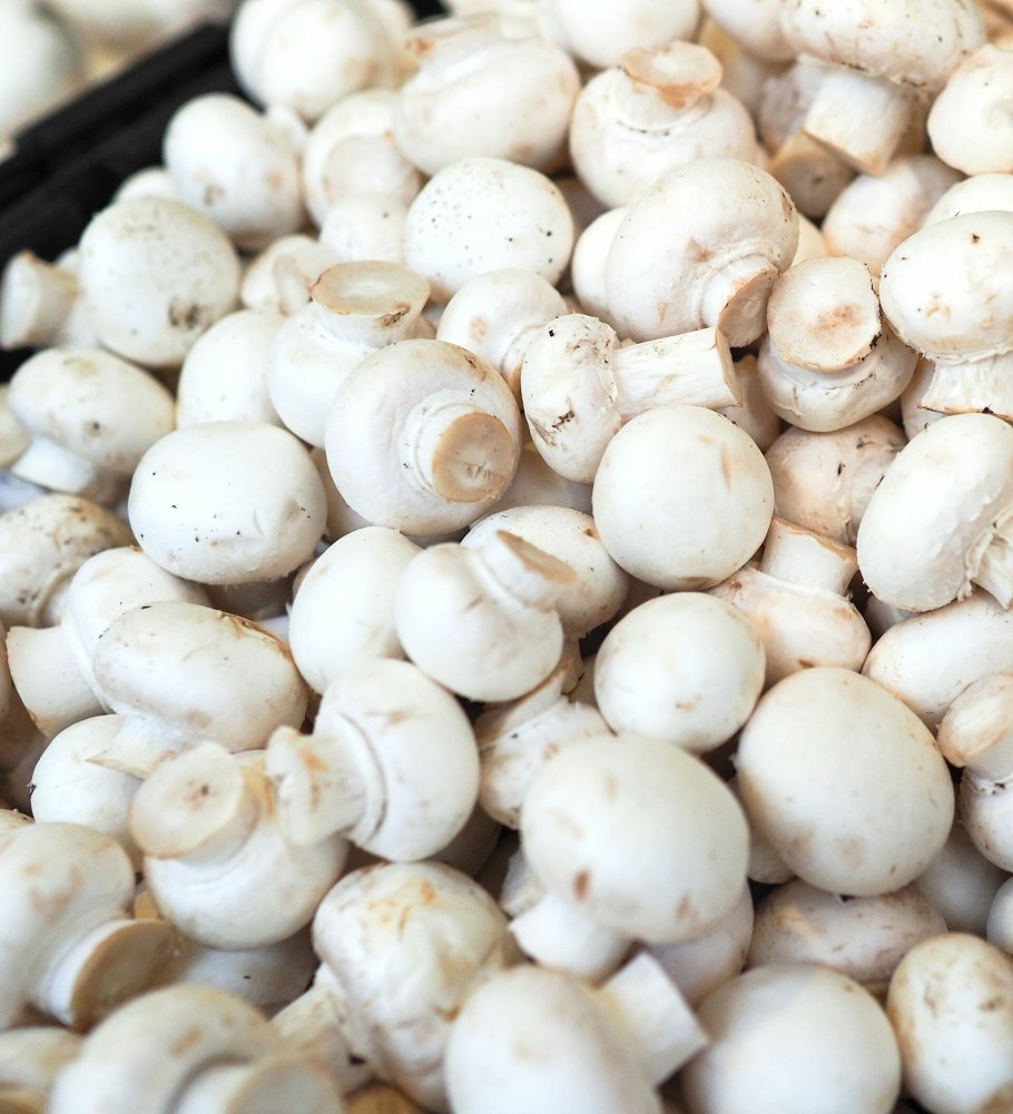 Шампиньоны свежие купить в Заозерный