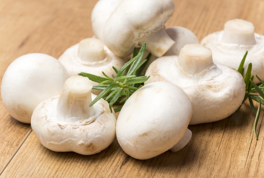 Фото сухих коричневых грибов