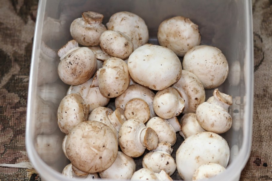 Шампиньоны мелкие