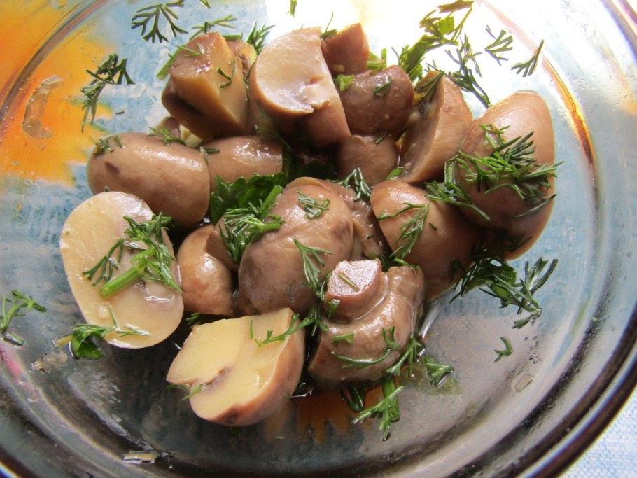 Шампиньоны свежие