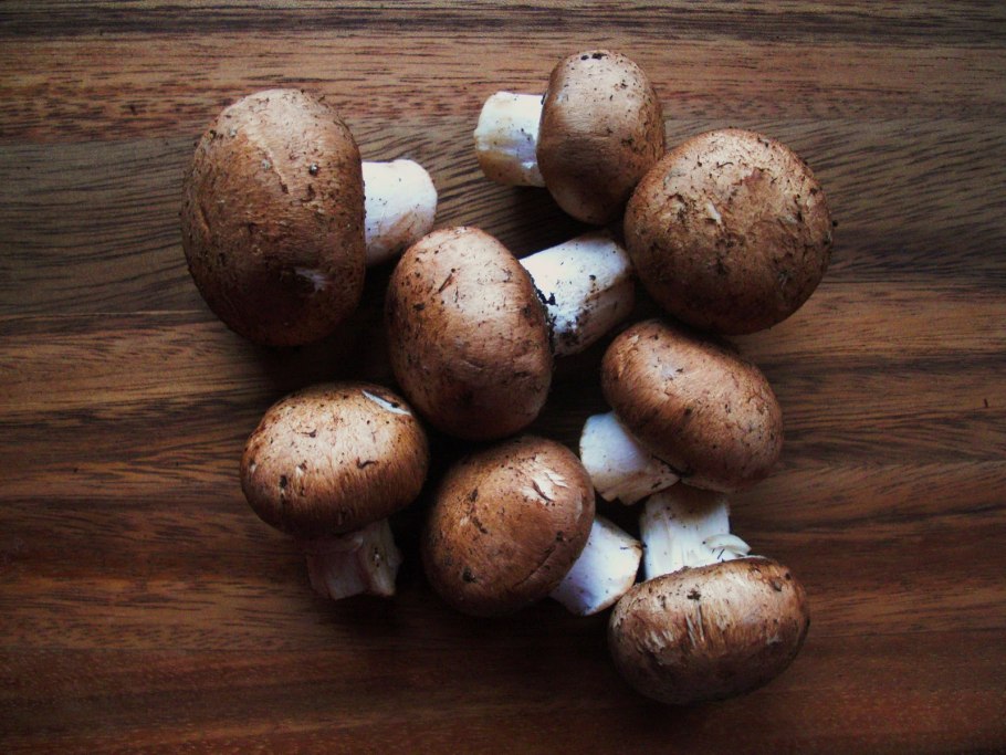 Шампиньоны Вичи