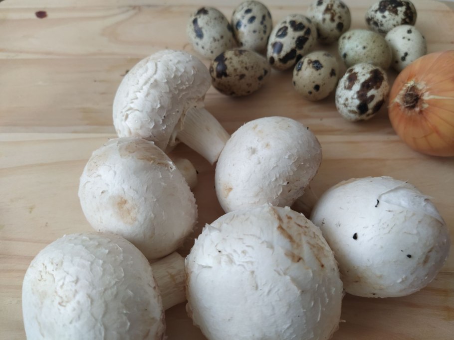 Летний шампиньон