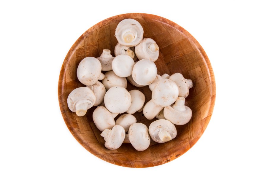 Грибы шампиньоны острые