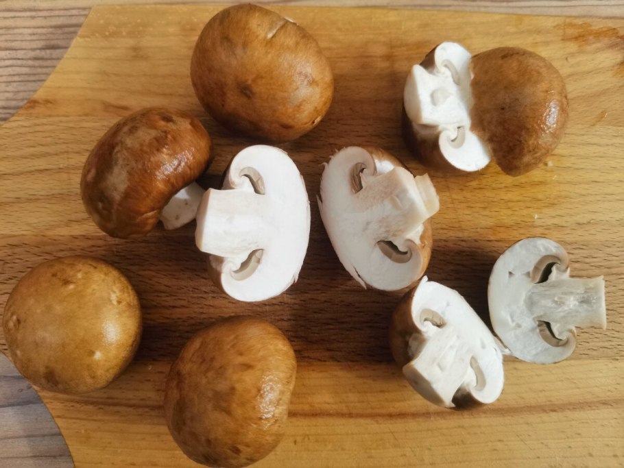 Луговой опенок шампиньон