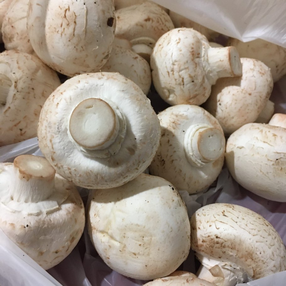 Маленький шампиньончик