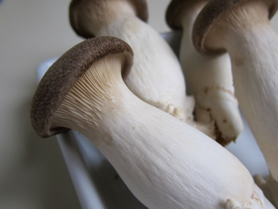 Гриб с большой шляпкой