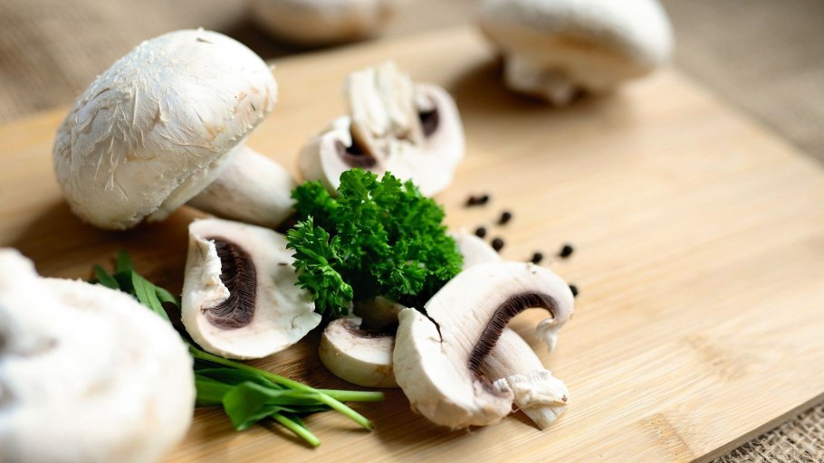 Дедушкин табак гриб