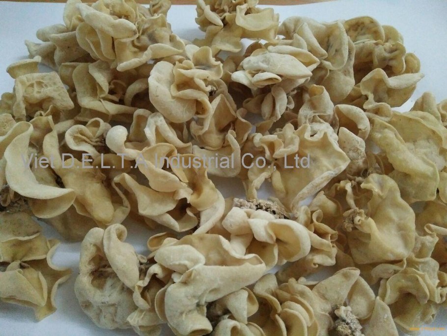 Грибы Вьетнам