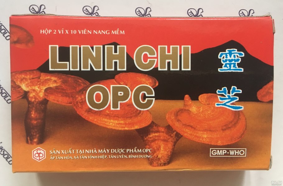 Гриб Линчжи Вьетнам