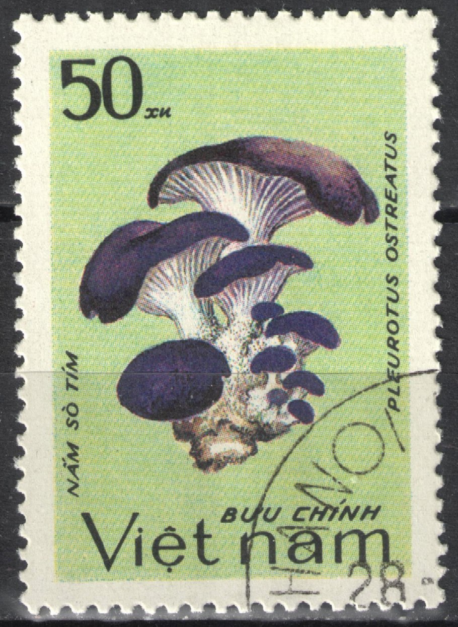 Почтовые марки грибы