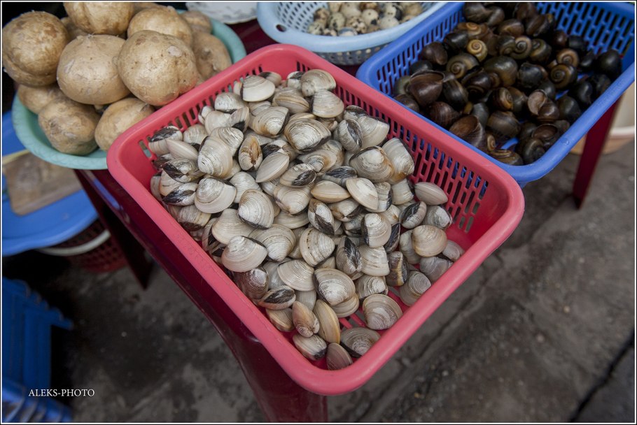 Вьетнамские грибы