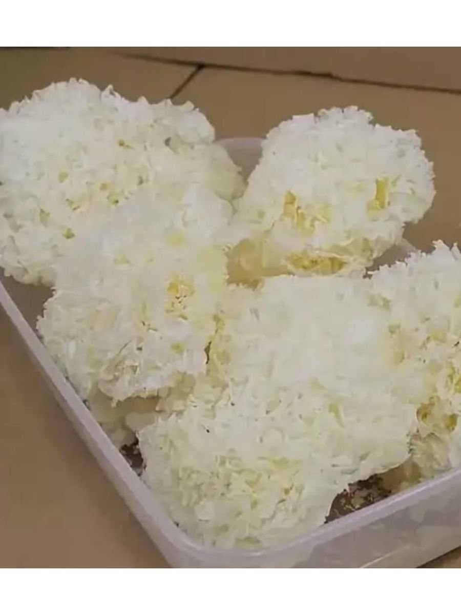 Гребешки белые корейские